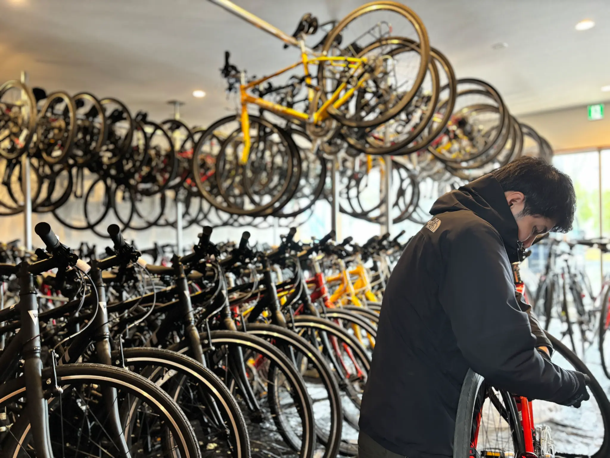 修理専門店によるプロ整備